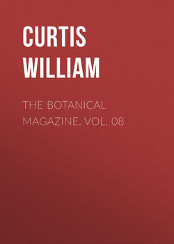 The Botanical Magazine, Vol. 08