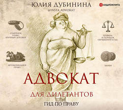 Адвокат для дилетантов