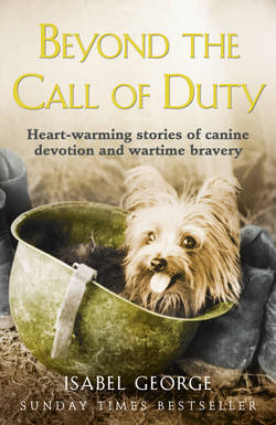 Beyond the Call of Duty: Heart-warming stories of canine devotion and bravery