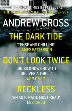 Andrew Gross 3-Book Thriller Collection 1: The Dark Tide, Don’t Look Twice, Relentless