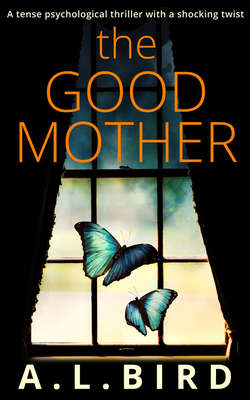 The Good Mother: A tense psychological thriller with a shocking twist