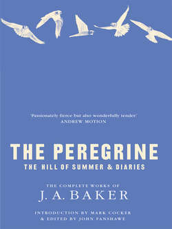 The Peregrine: The Hill of Summer & Diaries: The Complete Works of J. A. Baker