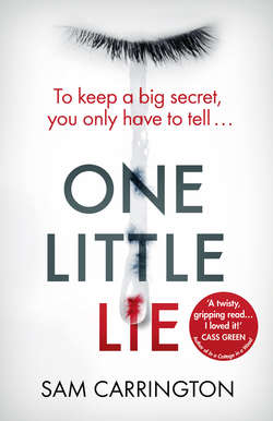 One Little Lie: From the best selling author comes a new crime thriller book for 2018