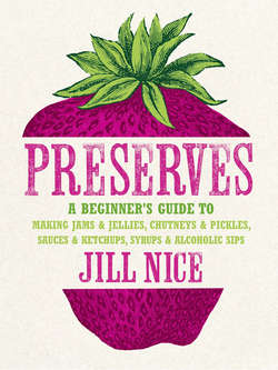 Preserves: A beginner’s guide to making jams and jellies, chutneys and pickles, sauces and ketchups, syrups and alcoholic sips