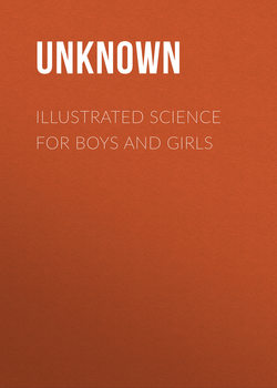 Illustrated Science for Boys and Girls