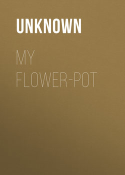 My Flower-pot