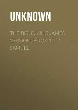 The Bible, King James version, Book 10: 2 Samuel