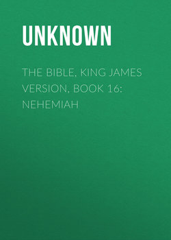 The Bible, King James version, Book 16: Nehemiah