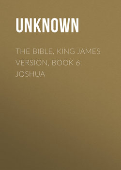The Bible, King James version, Book 6: Joshua