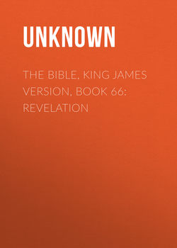 The Bible, King James version, Book 66: Revelation