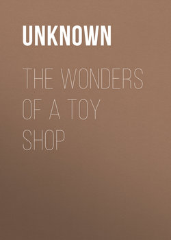 The Wonders of a Toy Shop