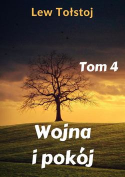 Wojna i pokój. Tom 4