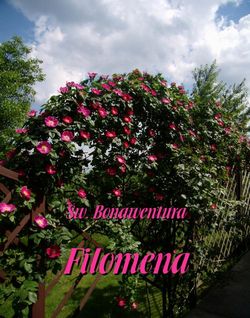 Filomena