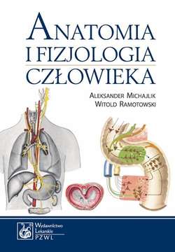 Anatomia i fizjologia człowieka