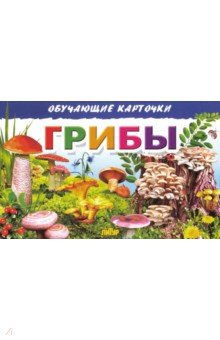 Карточки. Грибы