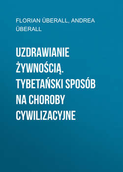 Uzdrawianie żywnością. Tybetański sposób na choroby cywilizacyjne