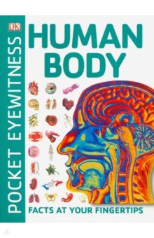 Human Body (Pocket Eyewitness)