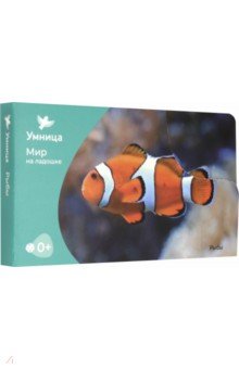 Мир на ладошке.Рыбы
