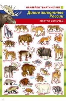 Дикие животные России. Наклейки тематические