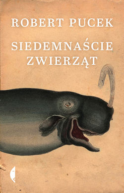 Siedemnaście zwierząt