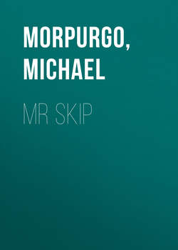 Mr Skip