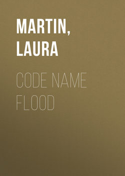 Code Name Flood