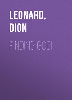 Finding Gobi