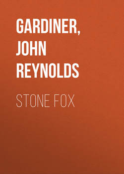 Stone Fox