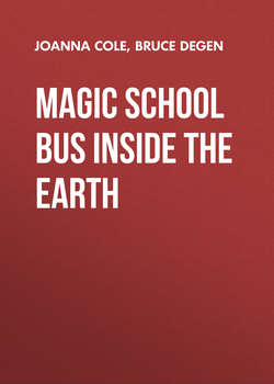 Magic School Bus Inside the Earth