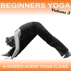Beginners Yoga - Yoga 2 Hear