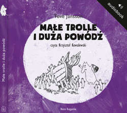 Małe trolle i duża powódź