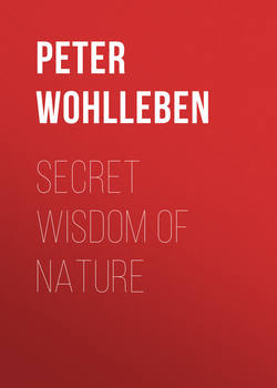 Secret Wisdom of Nature