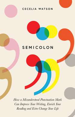 Semicolon: How a misunderstood punctuation mark can improve your writing, enrich your reading and even change your life