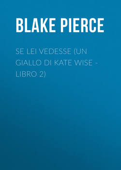 Se lei vedesse (Un giallo di Kate Wise - Libro 2)