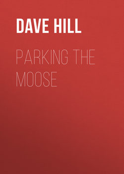 Parking the Moose