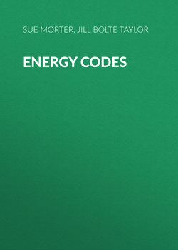 Energy Codes