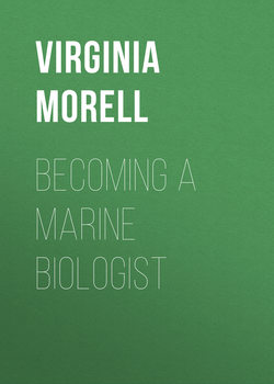 Becoming a Marine Biologist