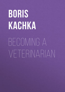 Becoming a Veterinarian