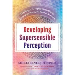 Developing Supersensible Perception