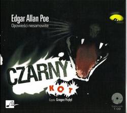 Czarny kot