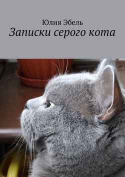 Записки серого кота. Жизнь людей глазами кота