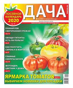 Дача Pressa.ru 01-2020