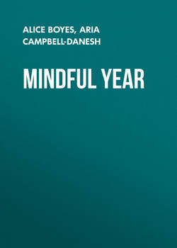 Mindful Year