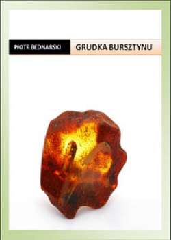 Grudka bursztynu