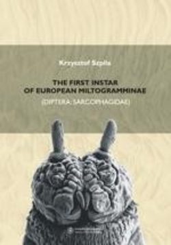 The first instar of european miltogramminae