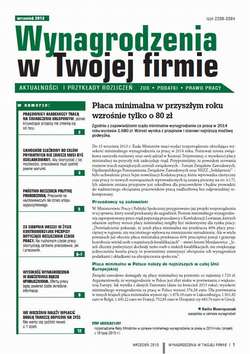 Wynagrodzenia w Twojej firmie wrzesień 2013