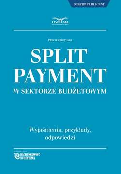 Split Payment w sektorze budżetowym