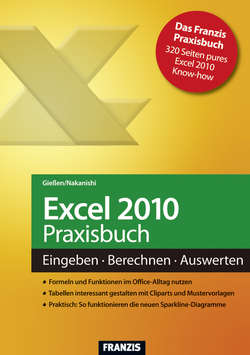 Excel 2010 Praxisbuch