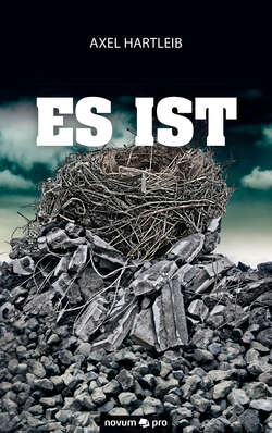 Es ist