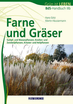 Farne und Gräser